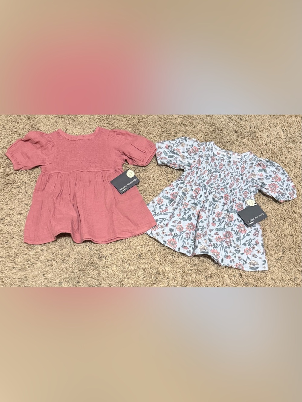 Modern Moments by Gerber Toddler Girl Smocked Dresses Size: 12 Months